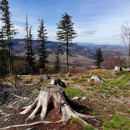 Edelštejn